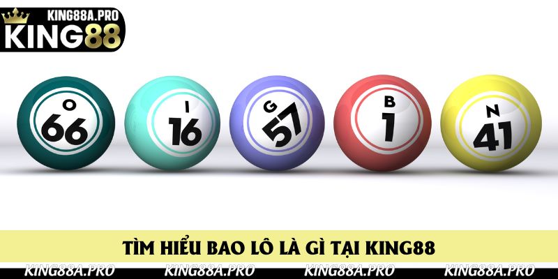 Định nghĩa bao lô là gì tại nhà cái King88 Định nghĩa bao lô là gì tại nhà cái King88